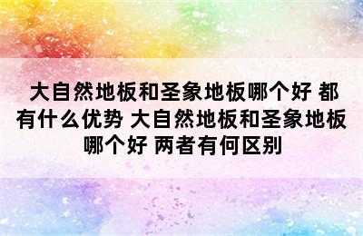  大自然地板和圣象地板哪个好 都有什么优势 大自然地板和圣象地板哪个好 两者有何区别